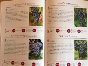 ぶどう品種や美味しいワインの温度などワインの基本がわかる　J.S.Aワイン検定　2020年スケジュール 見た目の変化で印象アップ！名古屋のイメージコンサルタント｜ハッピーコーディネート｜Happycoordinate