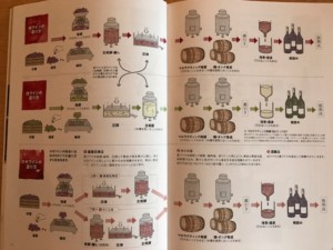 ぶどう品種や美味しいワインの温度などワインの基本がわかる　J.S.Aワイン検定　2020年スケジュール 見た目の変化で印象アップ！名古屋のイメージコンサルタント｜ハッピーコーディネート｜Happycoordinate